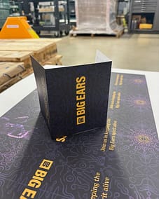 Printed Big Ears Music Festival Direct Mailer