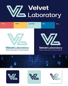 Velvet Laboratory Logo Design and Branding