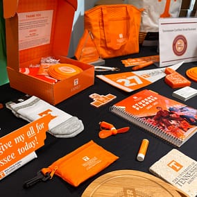 promotional projects for ut knoxville