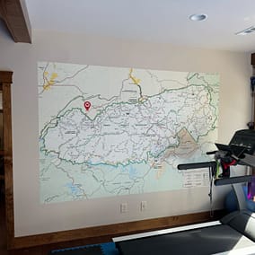 Wall Graphics and Design